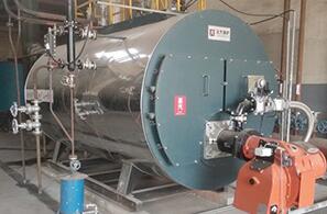 江蘇潤康電子化工4噸燃?xì)忮仩t