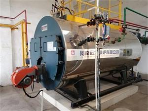 湖北藥廠移栽靈農業科技2噸燃氣蒸汽鍋爐
